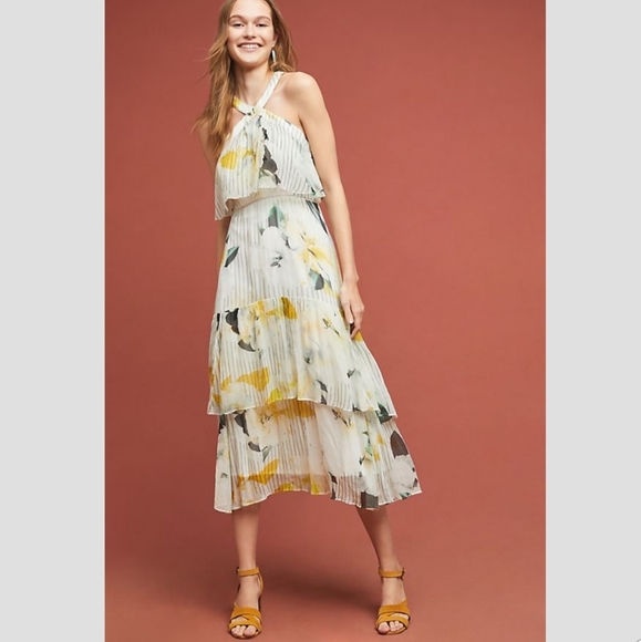 Anthropologie Garden Party Dress